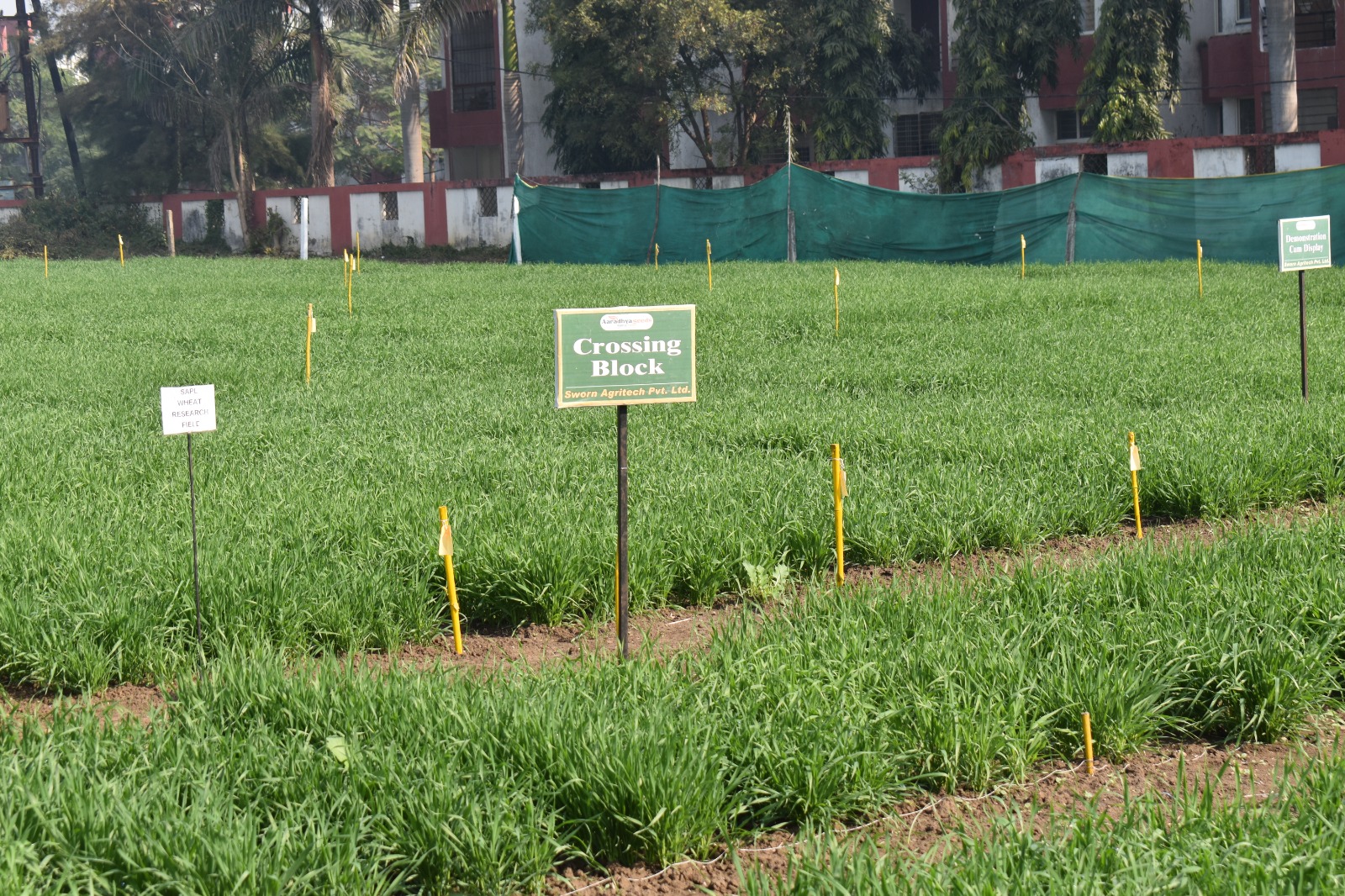 Sustainable Agriculture Starts Here